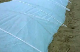 介绍青岛农用无纺布的掩盖方法