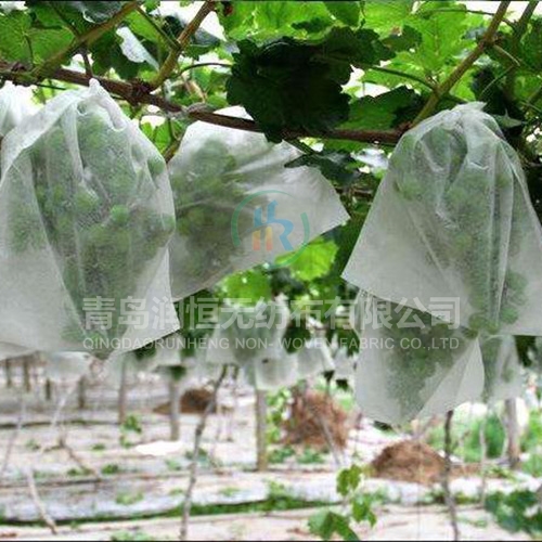 青岛农用无纺布的作用主要体现在以下几个方面